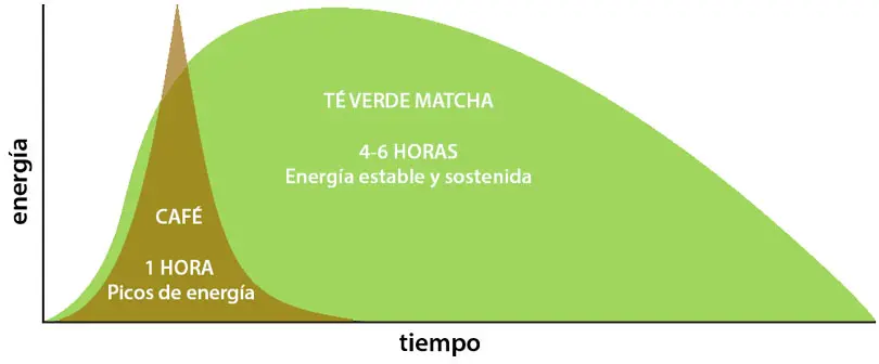Cafeína té matcha vs café